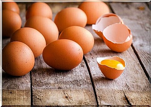 Egg recipes for children offer many alternatives to add this ingredient.