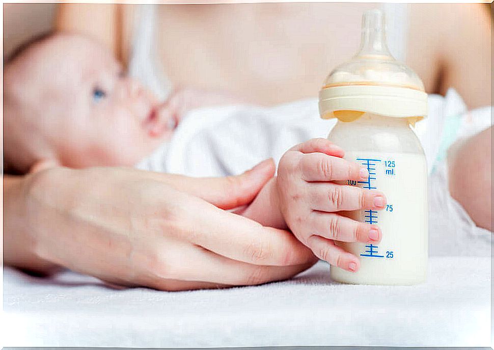The different types of milk for babies allow all the needs of the little ones to be covered.