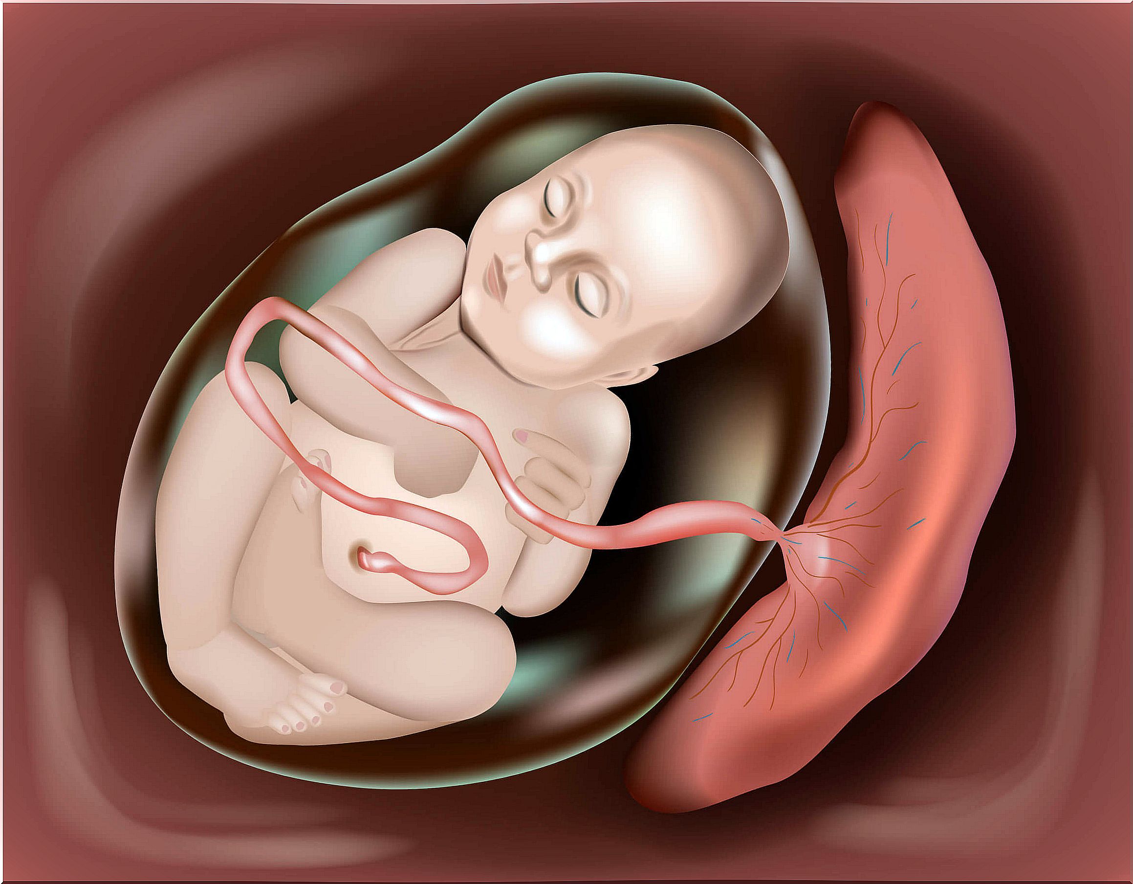 Aged placenta: what is it and how does it affect the baby