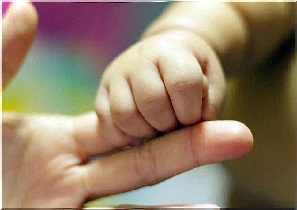 Baby clutching his mother's finger, his main attachment figure.