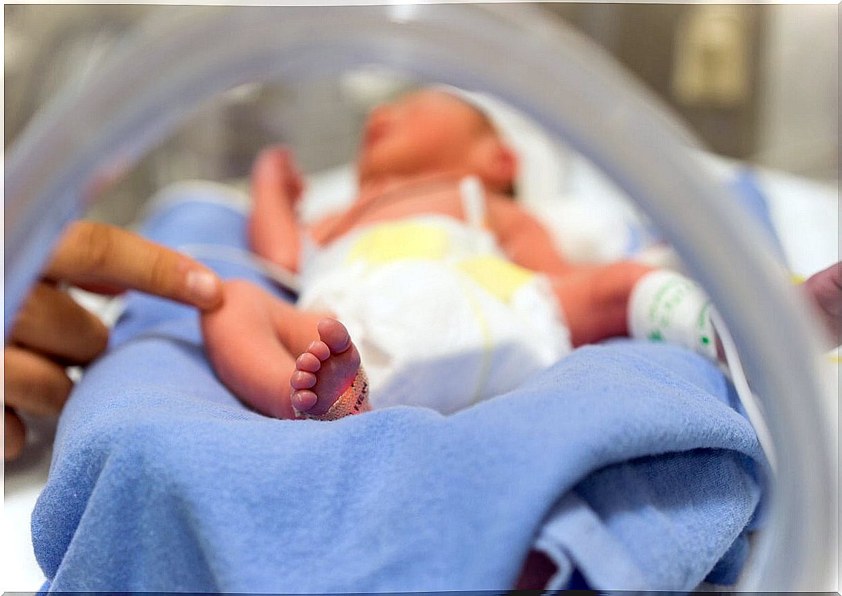 Premature Babies: How Can They Gain Weight?