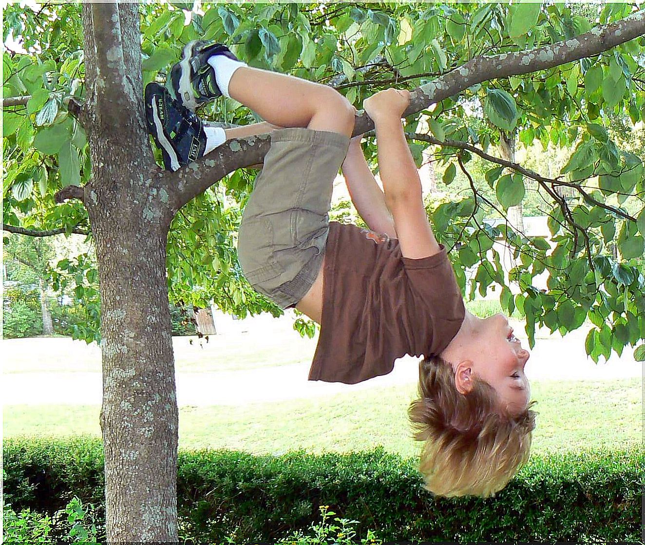 Child up on a tree