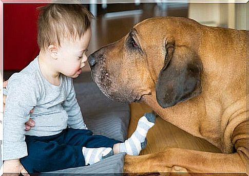 How can therapy animals help children?